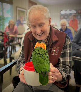 Balding man with grey hair grins and fees a green and yellow parrot.