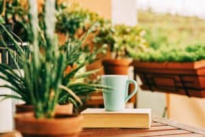 Cozy summer balcony with many potted plants, cup of tea and old vintage book